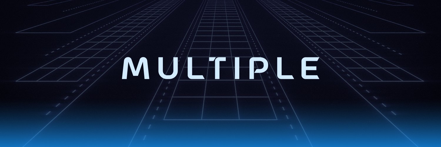 MultipleNetwork